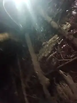 Manvi hote online show from 01/18/26, 04:10