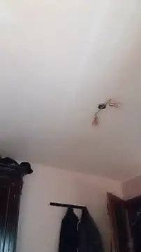 Der Schoene Penis online show from 01/11/26, 01:07