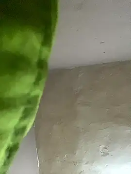 kwandero1234 online show from 01/12/26, 07:42