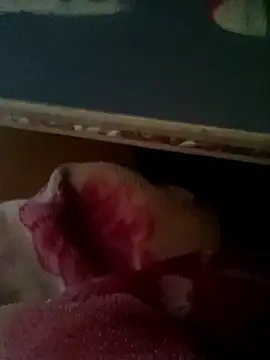 thich lo online show from 01/15/26, 06:17