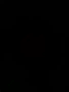 thich lo online show from 01/13/26, 11:14