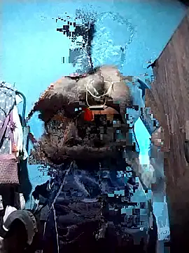 Danu2005dsa online show from 03/22/26, 05:47