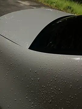 flavia337 online show from 02/24/26, 12:44