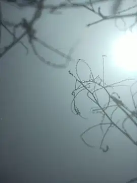 momo loves online show from 01/09/26, 07:48