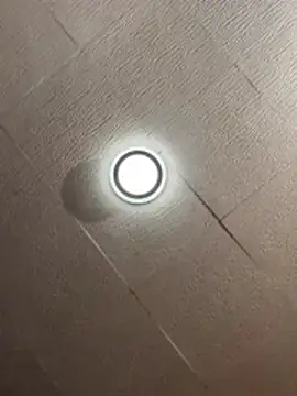 Evelin199 online show from 03/09/26, 03:59