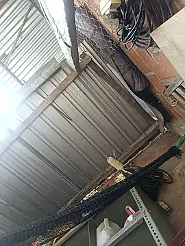 cielo420 online show from 01/07/26, 04:12