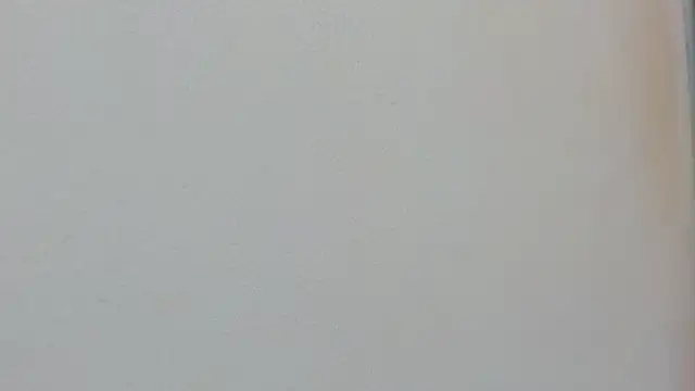 Missy 22  online show from 04/15/26, 01:37