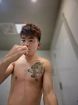 linfei123321 online show from 01/13/26, 04:11