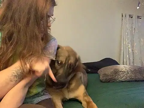 Intothewoodswego online show from 02/22/26, 01:30