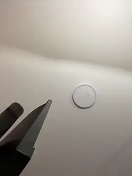 Michelle ec online show from 03/07/26, 03:06