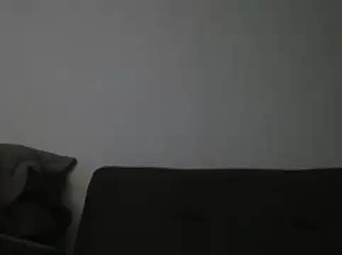 Snapshot of RAFAELQUINTEROSCAVALHEI chatting on 07/21/26, 10:22 RAFAELQUINTEROSCAVALHEI online show from 07/21/26, 10:22