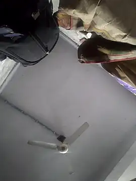 HadDrawers online show from 02/05/26, 07:37