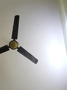 trinasa online show from 01/12/26, 08:04