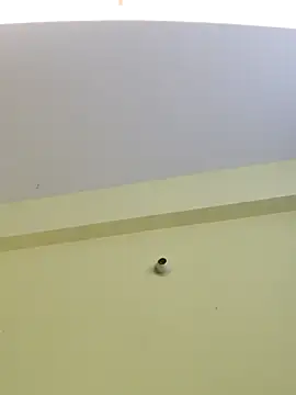 trinasa online show from 04/08/26, 07:48