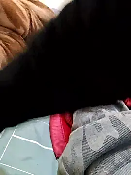 lov my dick online show from 01/13/26, 06:28