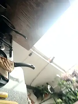 EcoDePiel online show from 01/10/26, 03:51