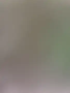 wy2026 online show from 04/03/26, 12:06