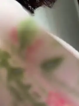 wy2026 online show from 04/12/26, 03:21