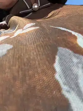 wy2026 online show from 04/10/26, 05:25