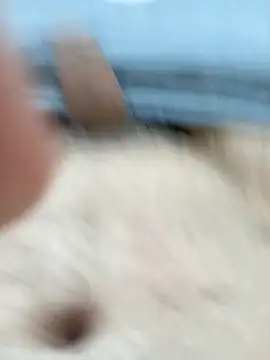 kazikli2 online show from 01/06/26, 09:52