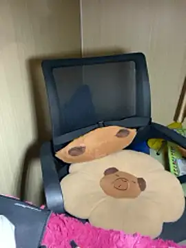 An-An19 online show from 02/17/26, 02:47