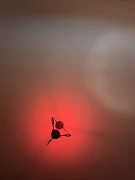 Snapshot of witchdub chatting on 02/24/26, 02:07 witchdub online show from 02/24/26, 02:07