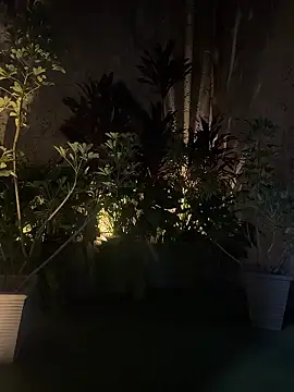 EmmaJhoons online show from 01/18/26, 05:44