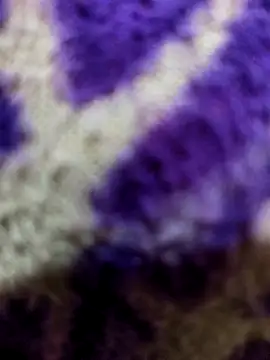 Gaonkadesiland online show from 01/15/26, 06:22