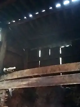 miray- online show from 03/13/26, 10:31