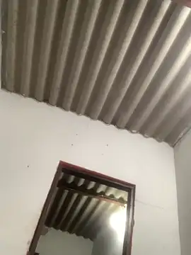 GeorgiandCoi online show from 03/28/26, 09:21