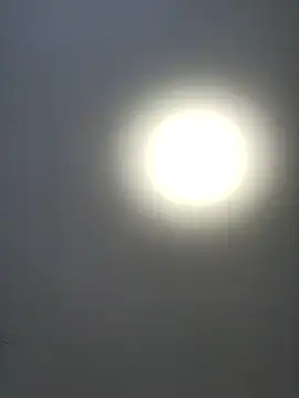 roksa2026 online show from 01/14/26, 08:07