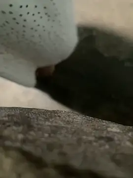 Ginny 2x online show from 03/07/26, 09:31