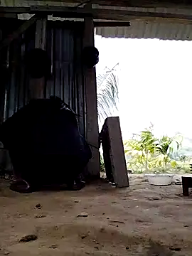 Ginny 2x online show from 03/16/26, 04:09