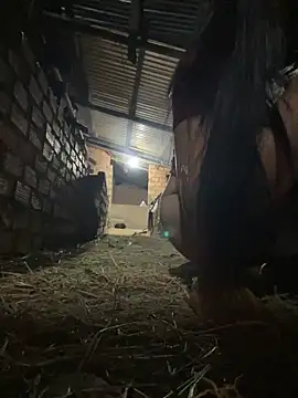 Ginny 2x online show from 02/25/26, 02:06