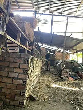 Ginny 2x online show from 02/20/26, 06:26