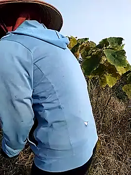 waaini99 online show from 01/12/26, 01:56