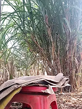 leona118 online show from 04/03/26, 01:01