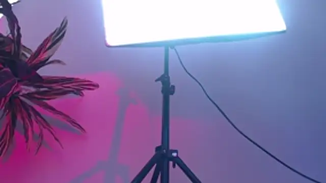 KimiNaru online show from 03/03/26, 04:25