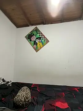 ehc1312 online show from 01/10/26, 09:04