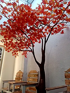 Dante Knox online show from 03/22/26, 11:23