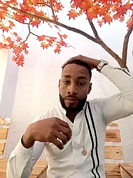 Dante Knox online show from 02/12/26, 11:43