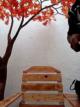 Dante Knox online show from 02/15/26, 11:53