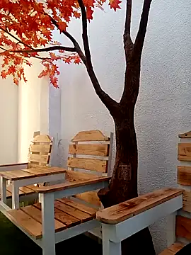 Dante Knox online show from 03/02/26, 11:28