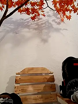 Dante Knox online show from 03/16/26, 11:14