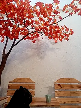 Dante Knox online show from 04/17/26, 11:24