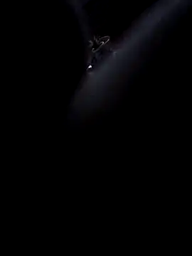 Snapshot of Boy4youuu chatting on 01/13/26, 09:19 Boy4youuu online show from 01/13/26, 09:19