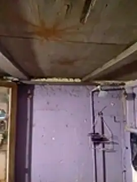 Guanatos13 online show from 02/02/26, 05:17