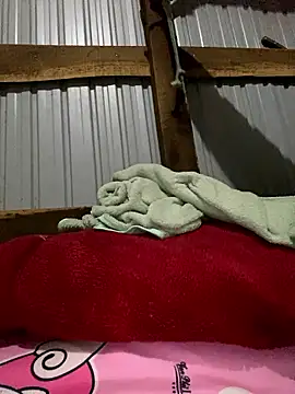 Xo xo237 online show from 01/12/26, 01:56