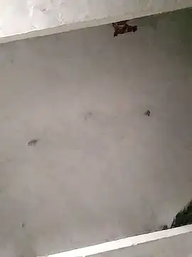 Snapshot of Mafiya0102 chatting on 01/16/26, 05:50 Mafiya0102 online show from 01/16/26, 05:50