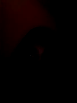 arushi bb online show from 01/15/26, 03:37